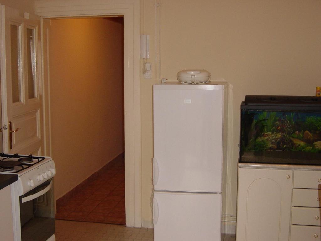 Ringavenue Apartments Budapesta Cameră foto